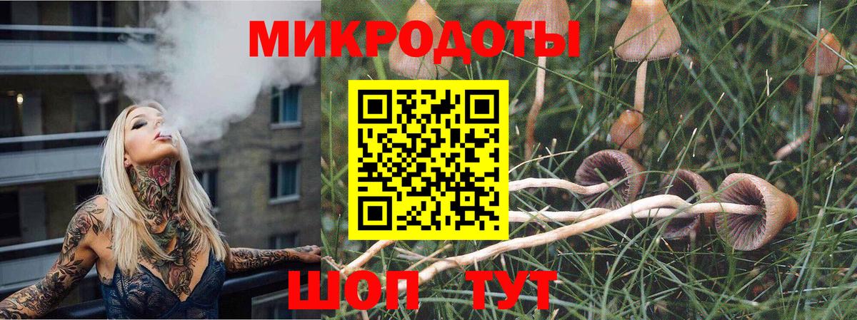 наркотики  Вход с VPN  Татарск  Галлюциногенные грибы Psilocybe 